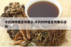 <b>��ҩ����ֲ����չʾ,��ҩ����ֲ����չʾ�</b>