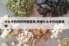 <b>ʲô��ҩ�ĺ���ֲֵǮ,��ֲʲô��ҩ����ֵǮ</b>