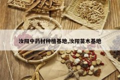 <b>������ҩ����ֲ����,������ľ����</b>