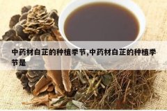 <b>��ҩ�İ��Ƶ���ֲ����,��ҩ�İ��Ƶ���ֲ������</b>