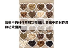 <b>�����ҩ�����ú͹�ЧͼƬ,�����ҩ�����ú͹�ЧͼƬ</b>