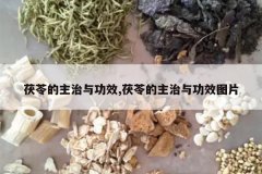 <b>���ߵ������빦Ч,���ߵ������빦ЧͼƬ</b>