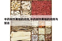 <b>��ҩ�ĳ��ưصĹ�Ч,��ҩ�ĳ��ưصĹ�Ч�����</b>