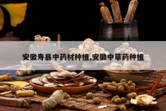 <b>����������ҩ����ֲ,�����в�ҩ��ֲ</b>