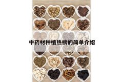 <b>��ҩ����ֲ�Ȱ�ļ򵥽���</b>