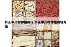 <b>������ҩ����ֲ����,������ҩ����ֲ���෽��</b>