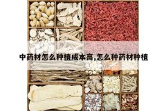 <b>��ҩ����ô��ֲ�ɱ���,��ô��ҩ����ֲ</b>