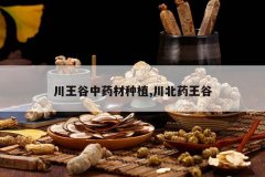 <b>��������ҩ����ֲ,����ҩ����</b>