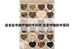 <b>�ʺ����й���ֲ����ҩ��,������ֲ���в�ҩ</b>