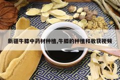 <b>�½�ţϥ��ҩ����ֲ,ţϥ����ֲ���ջ���Ƶ</b>