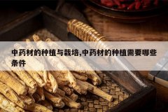 <b>��ҩ�ĵ���ֲ������,��ҩ�ĵ���ֲ��Ҫ��Щ����</b>