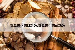 <b>��������ҩ�Ĺ�Ч,��������ҩ�Ĺ�Ч</b>