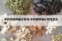 <b>��ҩҩ����ֲ�ƻ���,��ҩ����ֲ�ƻ�����ôд</b>