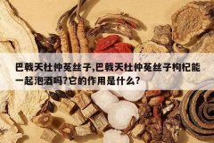 <b>����������˿��,����������˿�������һ���ݾ���?����������</b>