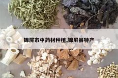 <b>��������ҩ����ֲ,�������ز�</b>