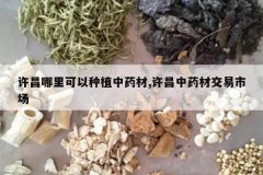 <b>�������������ֲ��ҩ��,������ҩ�Ľ����г�</b>