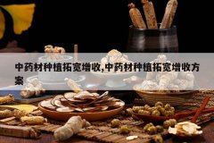 <b>��ҩ����ֲ�ؿ�����,��ҩ����ֲ�ؿ����շ���</b>