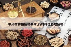 <b>��ҩ����ֲ��ƸҪ��,ҩ����ֲ������Ƹ</b>