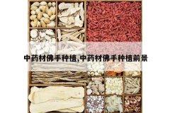 <b>��ҩ�ķ�����ֲ,��ҩ�ķ�����ֲǰ��</b>