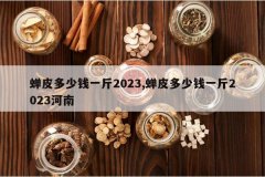 <b>��Ƥ����Ǯһ��2023,��Ƥ����Ǯһ��2023����</b>