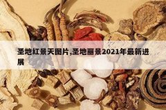 <b>ʥ�غ쾰��ͼƬ,ʥ������2021�����½�չ</b>