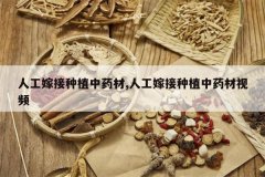 <b>�˹��޽���ֲ��ҩ��,�˹��޽���ֲ��ҩ����Ƶ</b>