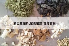 <b>�ʼ��ͼƬ,�ʼ����� �ٶȰٿ�</b>