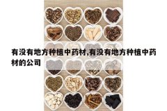 <b>��û�еط���ֲ��ҩ��,��û�еط���ֲ��ҩ�ĵĹ�˾</b>