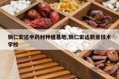 <b>ͭ�ʺ����ҩ����ֲ����,ͭ�ʺ��ְҵ����ѧУ</b>