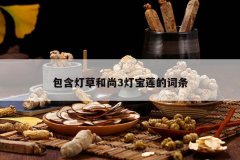 <b>�����Ʋݺ���3�Ʊ����Ĵ���</b>