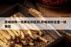 <b>��������һ֦�ƻ�������,�������û���һ֦�ƻ�</b>