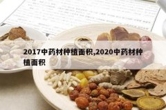 <b>2017��ҩ����ֲ���,2020��ҩ����ֲ���</b>