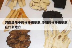 <b>����������ҩ����ֲ����,����ҩ����ֲ������ʲô�ط�</b>