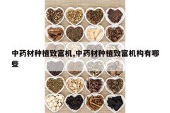 <b>��ҩ����ֲ�¸���,��ҩ����ֲ�¸���������Щ</b>