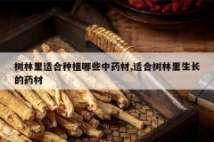 <b>�������ʺ���ֲ��Щ��ҩ��,�ʺ�������������ҩ��</b>