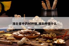 <b>����ʡ��ҩ����ֲ,������ֲʲô</b>