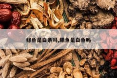 <b>�����ǰ�����,�����ǰ�����</b>