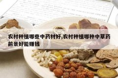 <b>ũ����ֲ��Щ��ҩ�ĺ�,ũ����ֲ�����в�ҩǰ������׬Ǯ</b>