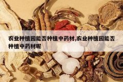 <b>ũҵ��ֲ԰�ܷ���ֲ��ҩ��,ũҵ��ֲ԰�ܷ���ֲ��ҩ����</b>