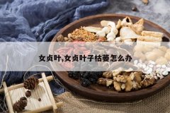 <b>Ů��Ҷ,Ů��Ҷ�ӿ�ή��ô��</b>