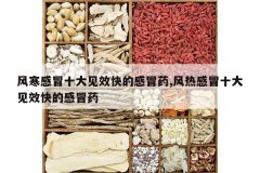 <b>�纮��ðʮ���Ч��ĸ�ðҩ,���ȸ�ðʮ���Ч��ĸ�ðҩ</b>