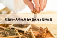 <b>������ʮ��Ч,��������ô�Բ��ܽ�Ѫ֬</b>