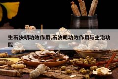 <b>��ʯ������Ч����,ʯ������Ч���������ι���</b>