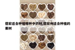 <b>�º��ʺ���ֲ������ҩ��,�º����ʺ���ֲ�Ĺ���</b>