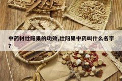 <b>��ҩ��׳�����Ĺ�Ч,׳������ҩ��ʲô����?</b>