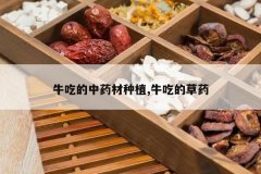 <b>ţ�Ե���ҩ����ֲ,ţ�ԵĲ�ҩ</b>