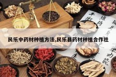 <b>������ҩ����ֲ����,������ҩ����ֲ������</b>