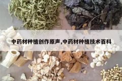 <b>��ҩ����ֲ����ԭ��,��ҩ����ֲ�����ٿ�</b>