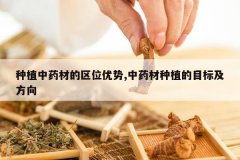 <b>��ֲ��ҩ�ĵ���λ����,��ҩ����ֲ��Ŀ�꼰����</b>