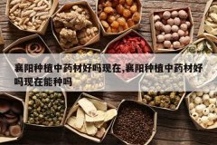 <b>������ֲ��ҩ�ĺ�������,������ֲ��ҩ�ĺ�������������</b>